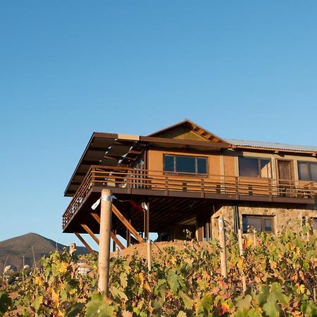 Quinta Lucia Hotel Valle de Guadalupe Kültér fotó